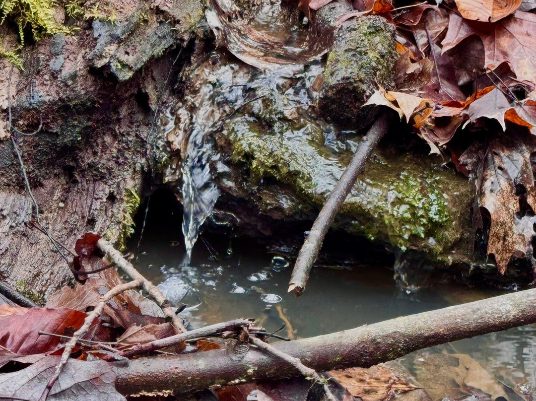 Salt Run Trail-Peninsula必去景点