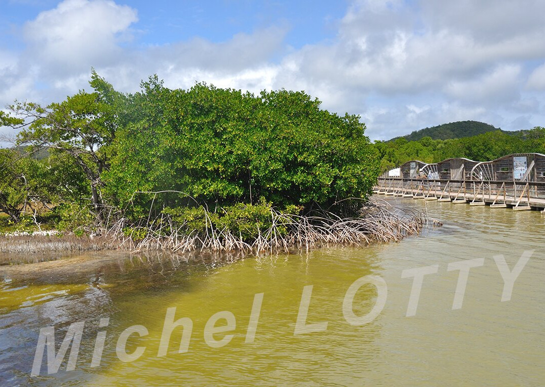 Etang des Salines-Sainte-Anne必去景点