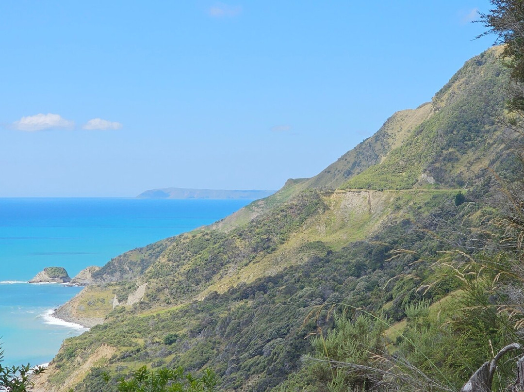 Gisborne Railbike Adventure景点图片