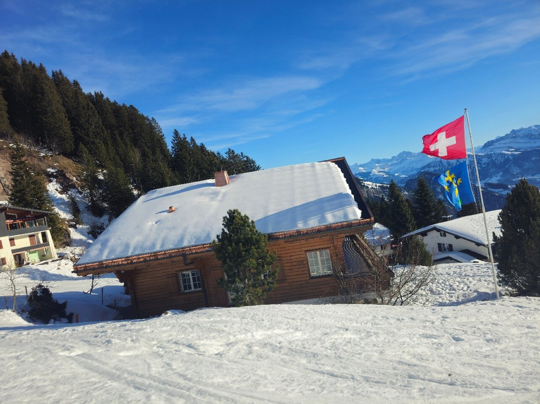 Vitznau-Rigi Kulm cogwheel railway-菲茨瑙必去景点