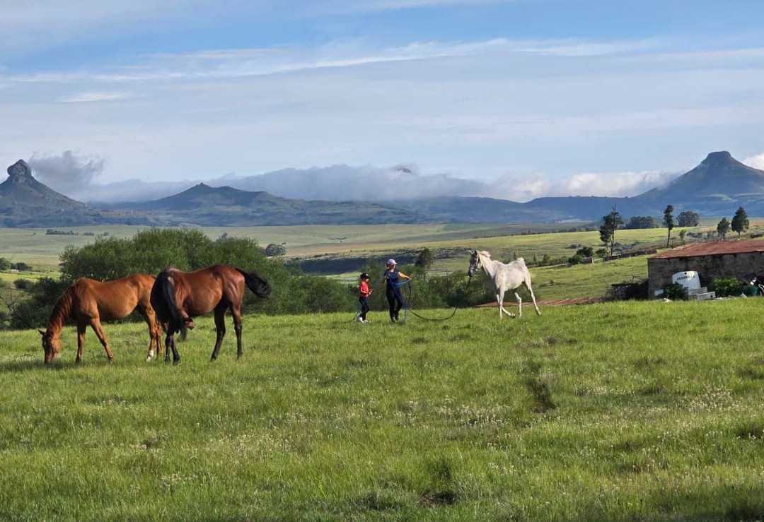 Oban Farm Stay Van Reenen主图