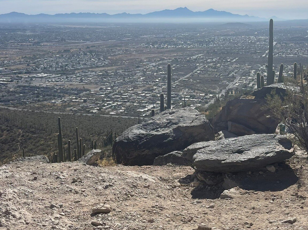 Tumamoc Hill-图森必去景点