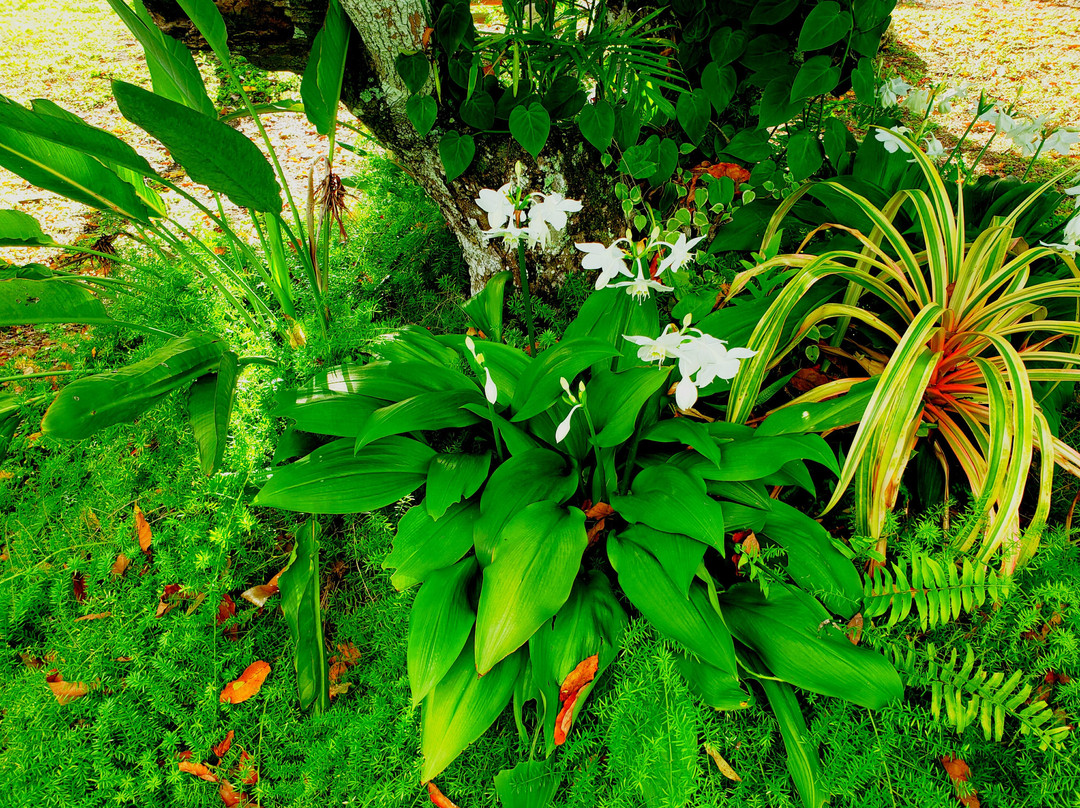 Mery Farm-霍姆斯特德必去景点