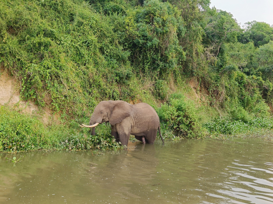 Bujo Safaris-Kasese必去景点