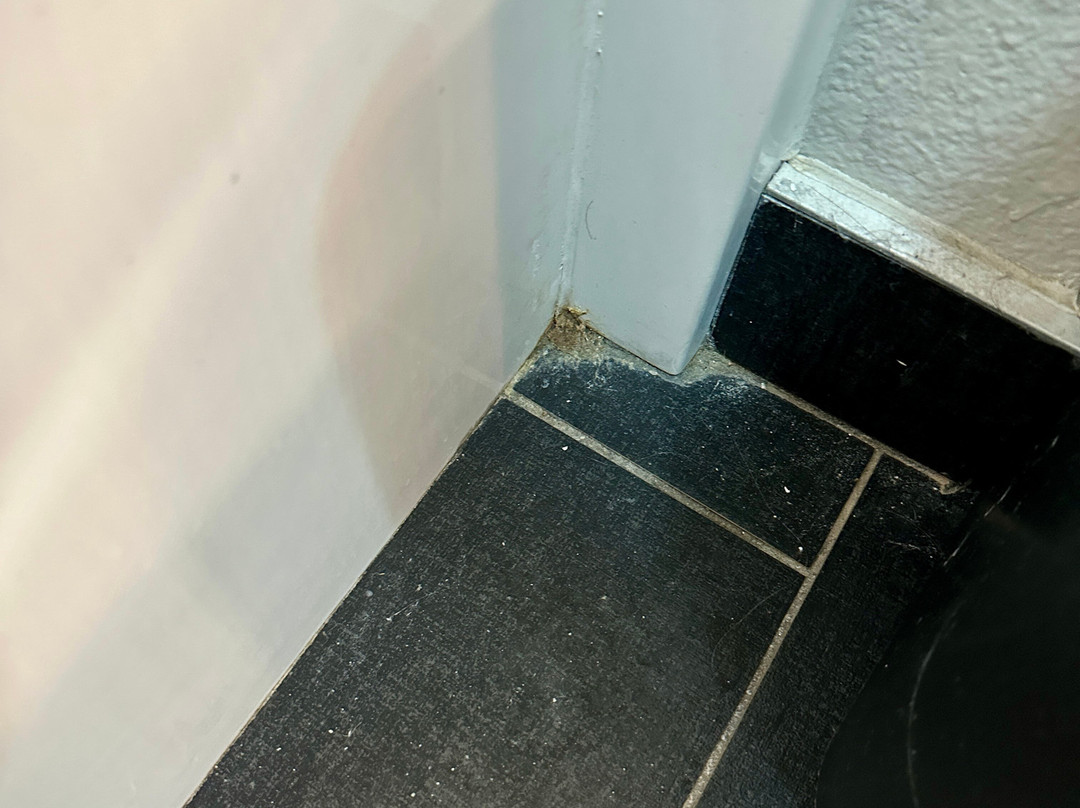 Laquinta Inn & Suites - Lubbock South主图