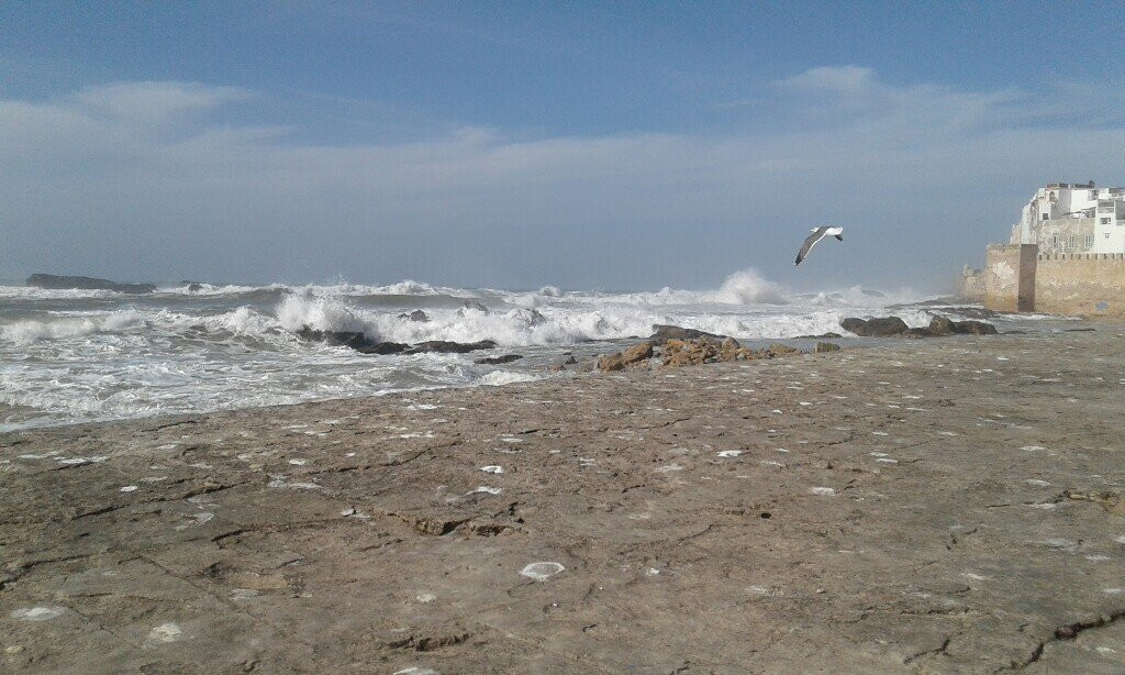 Taxi Arganier Essaouira Marrakech-索维拉必去景点