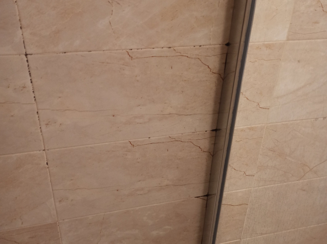 B&B San Domenico主图