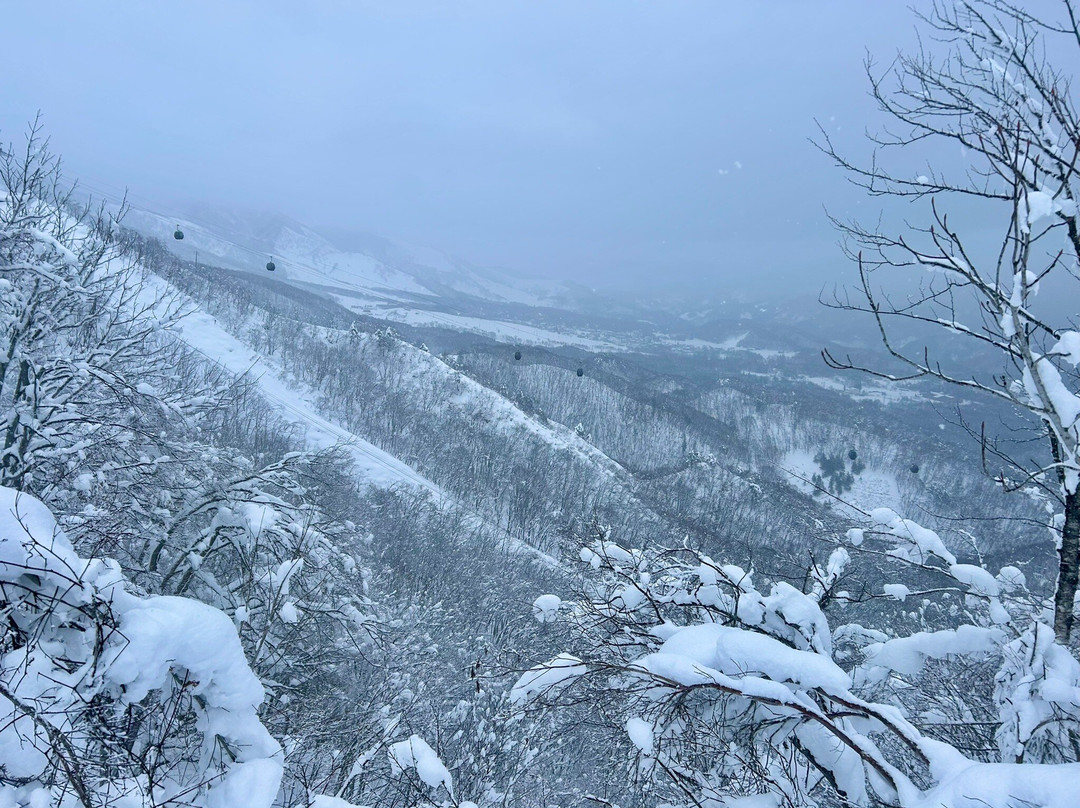 白马村酒店主图