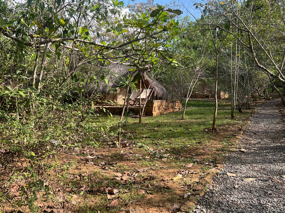 Nativo Glamping主图