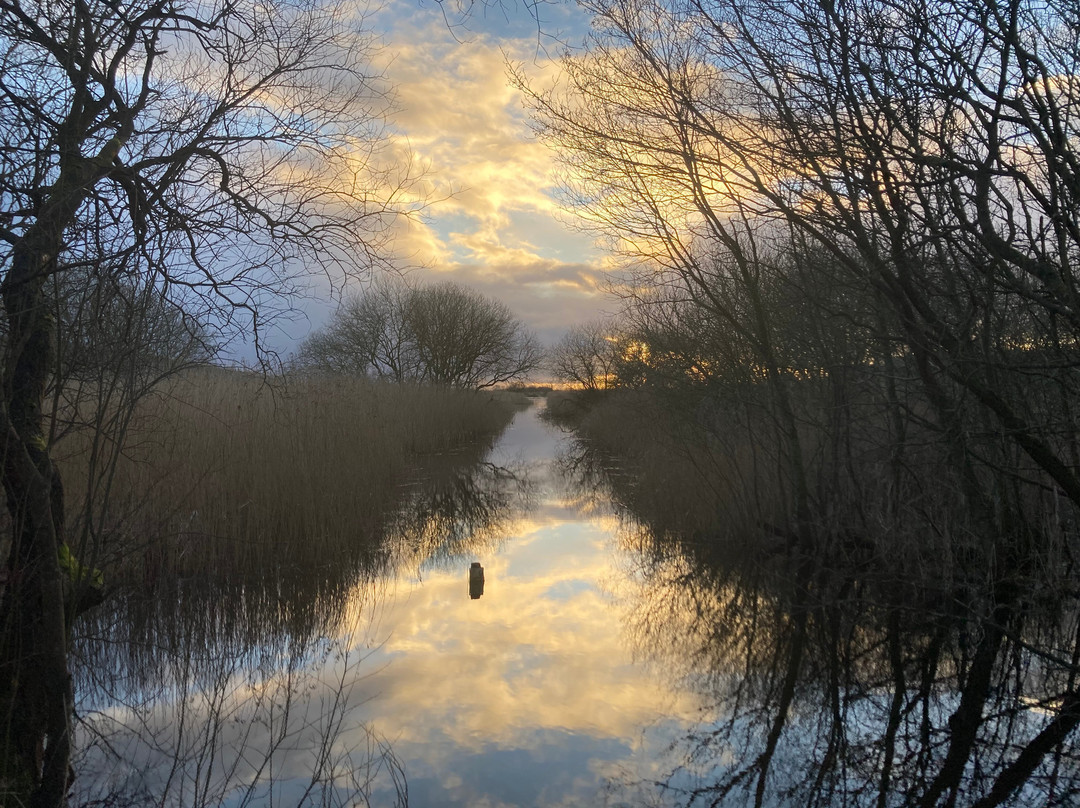RSPB Leighton Moss Nature Reserve-Silverdale必去景点
