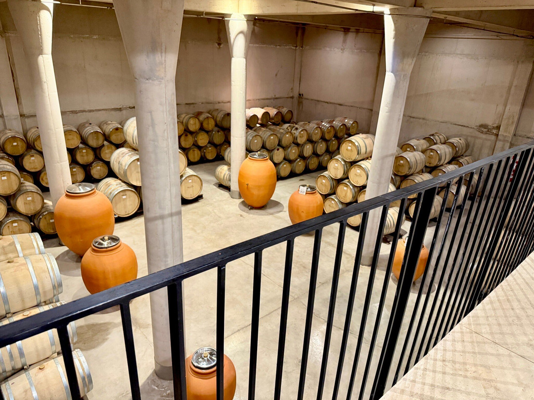 Claroscuro Bodega De Arte景点图片