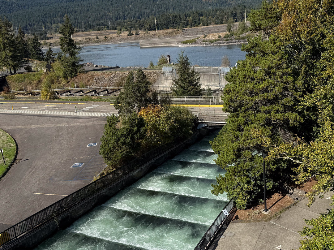 Bonneville Lock & Dam-Cascade Locks必去景点