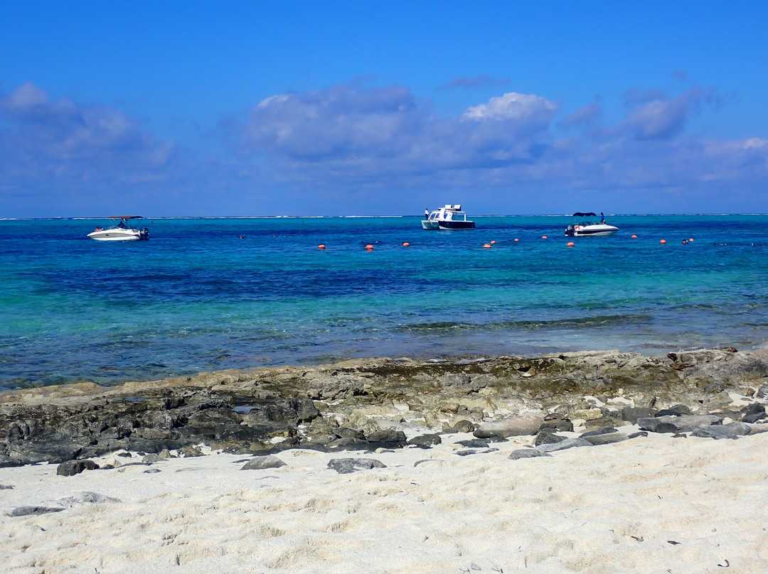 Smith's Reef-特克斯和凯科斯必去景点