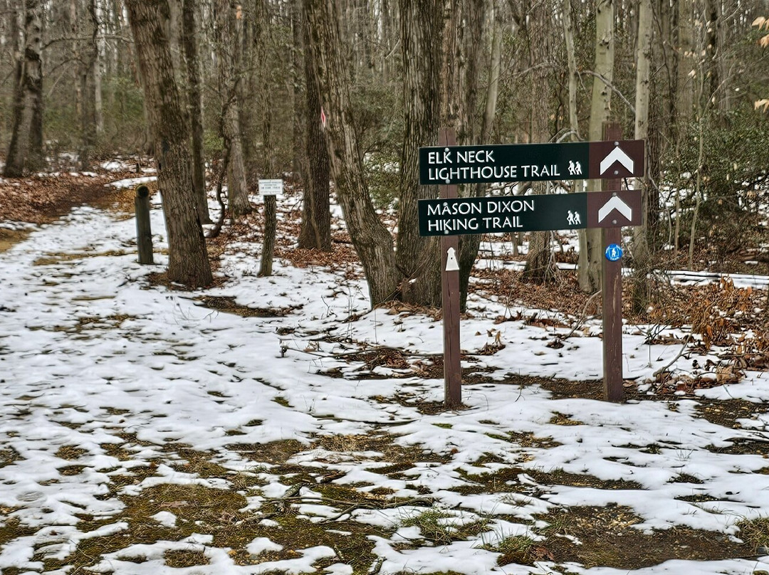 Elk Neck State Forest景点图片