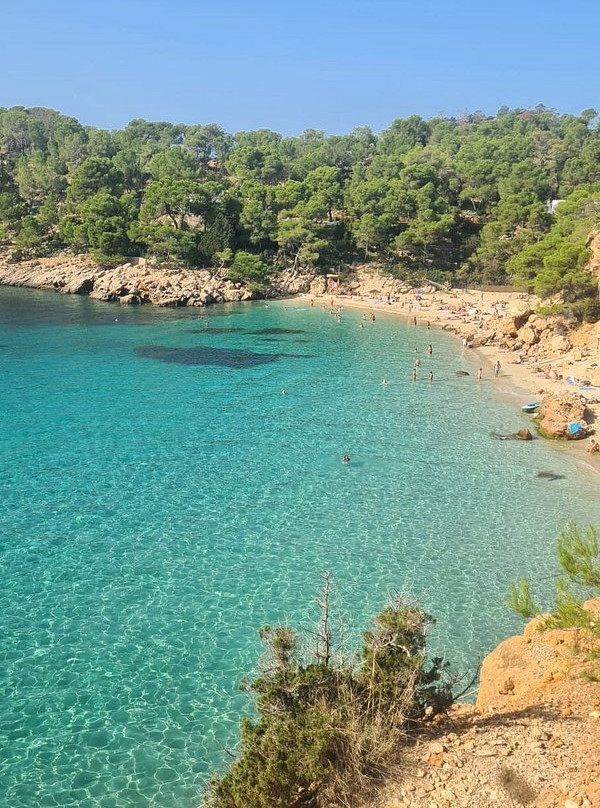 Playa Cala Salada景点图片