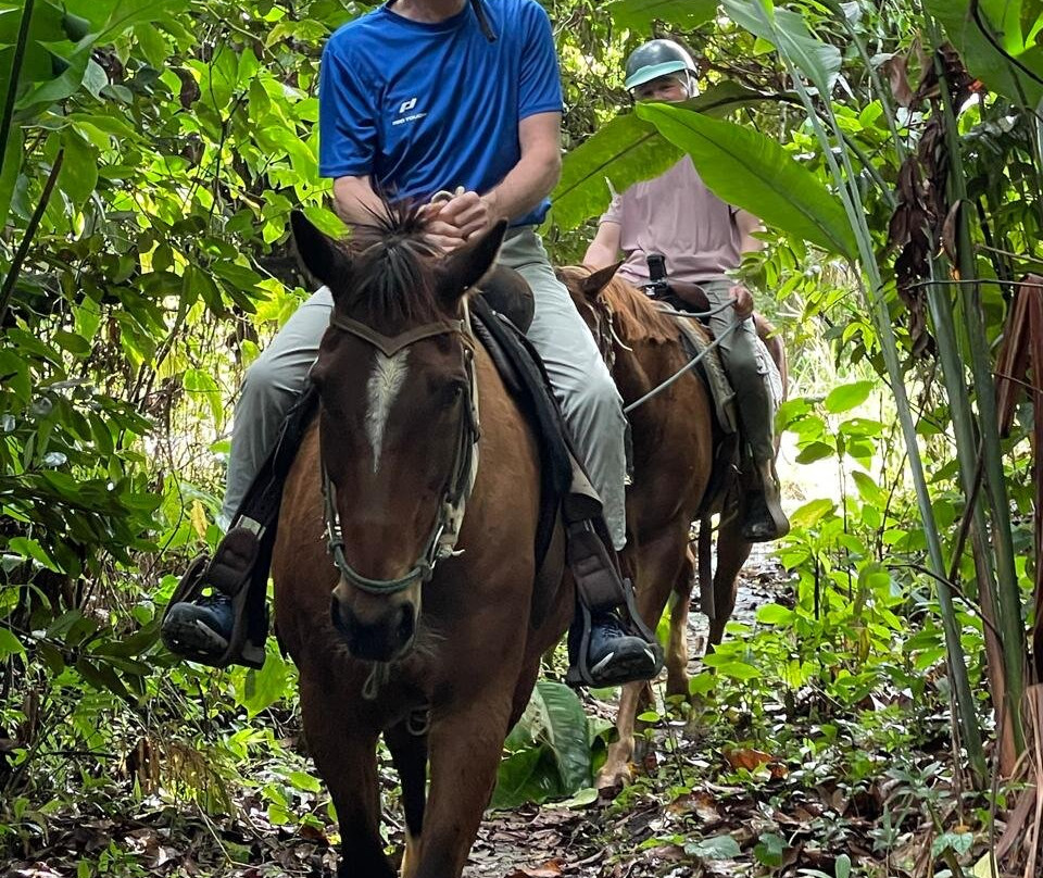 Ranch de Moreau-Goyave必去景点