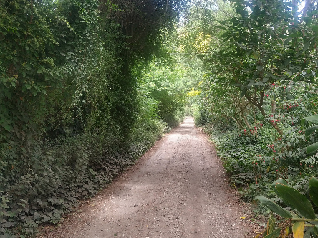 Bosque Peralta Ramos-马德普拉塔必去景点