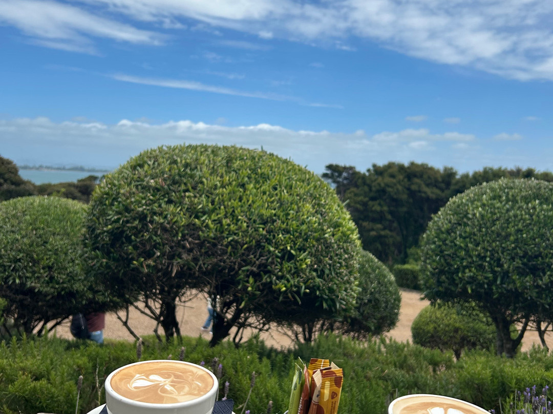 Mudbrick Vineyard景点图片