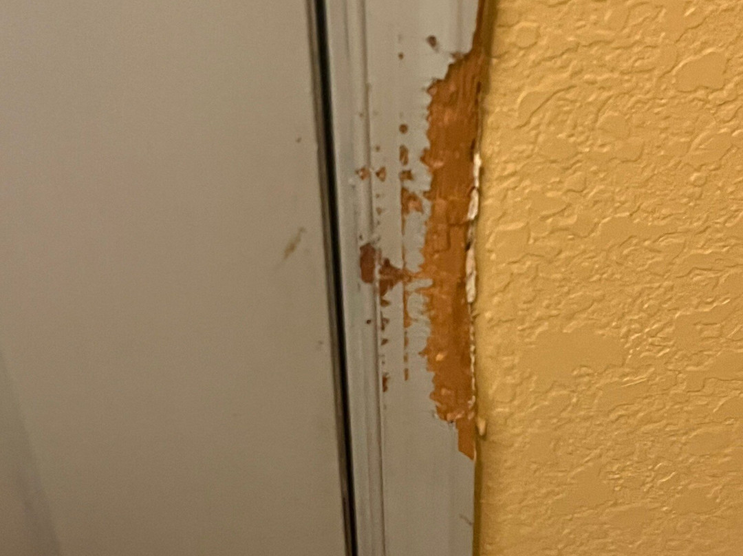 Super 8 by Wyndham Hancock MD主图