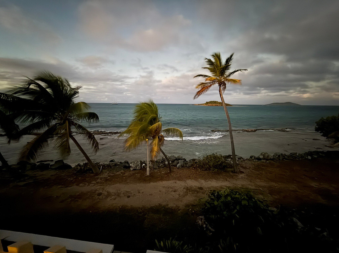 Tamarind Reef Resort主图