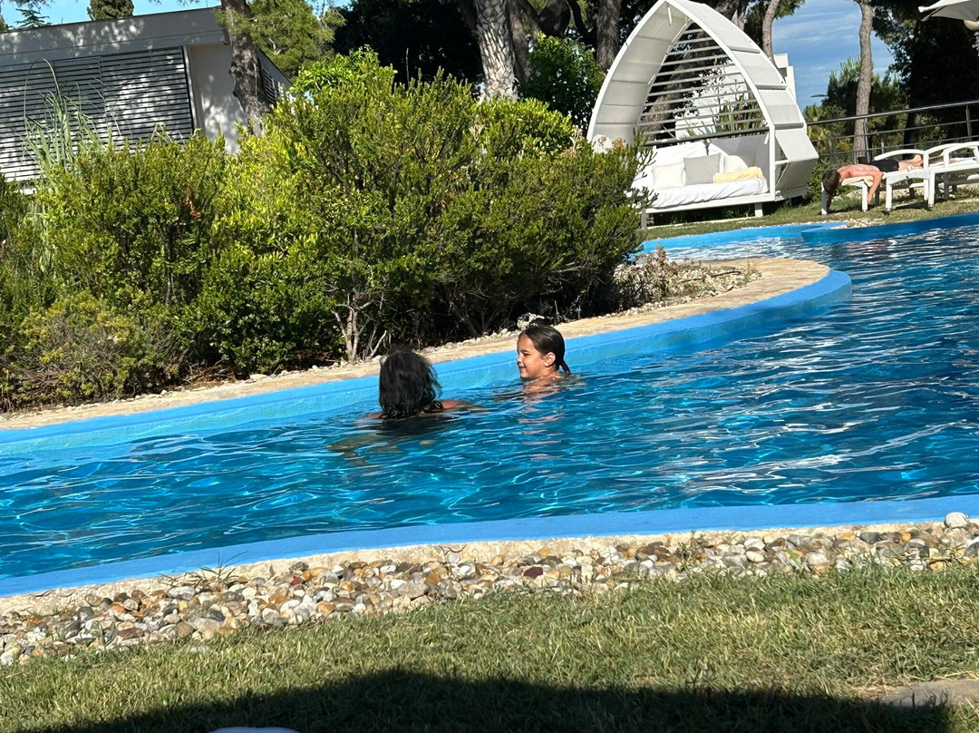 Amadria Park Hotel Niko主图