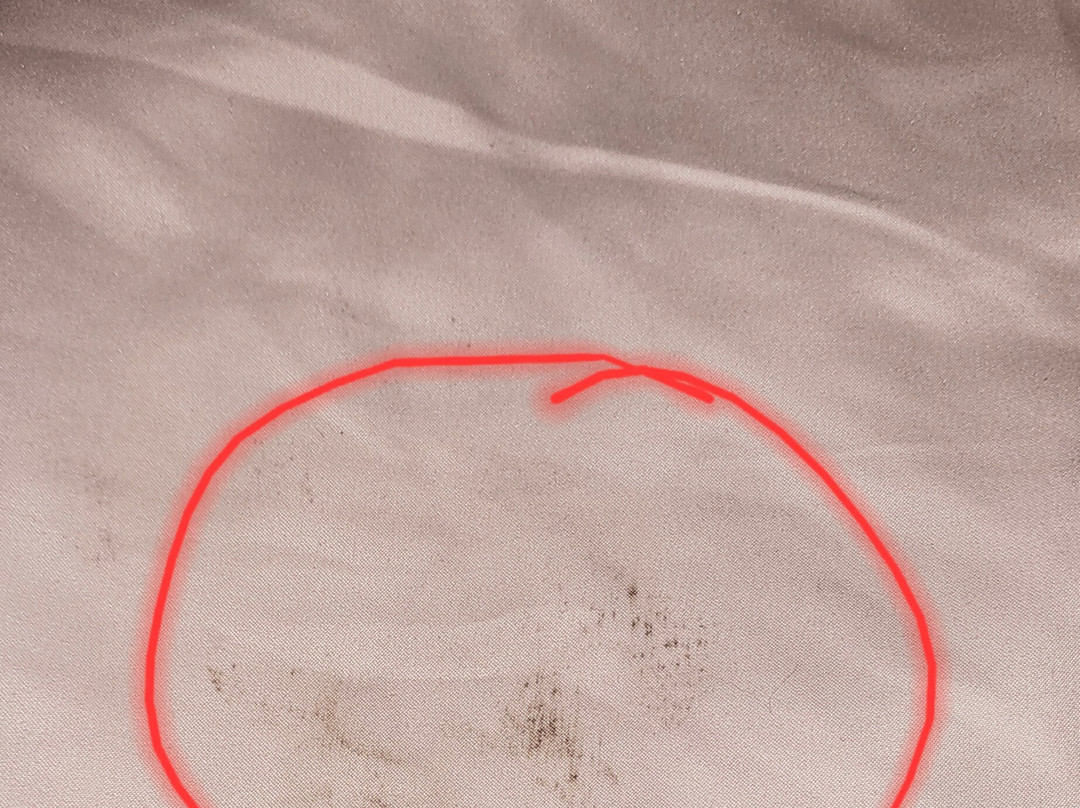 La Quinta Inn & Suites by Wyndham Macon West主图