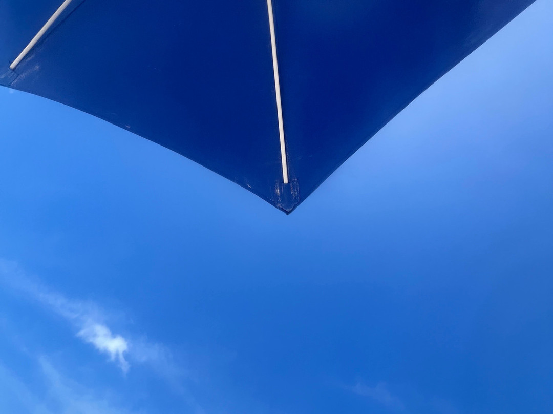 Coconut Rentals Aruba-棕榈/鹰海滩必去景点