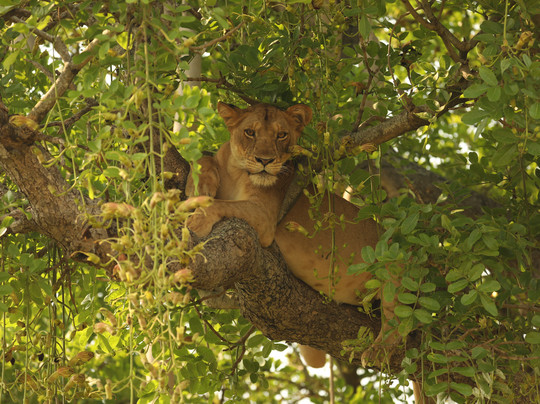 ICEROCK Trekking-内罗毕必去景点
