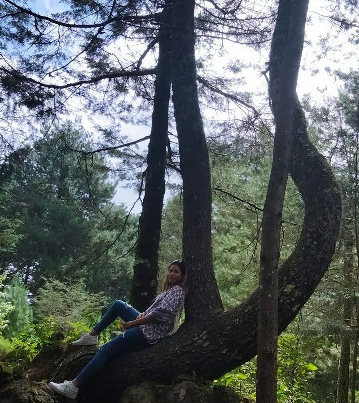 Huasteecotours景点图片