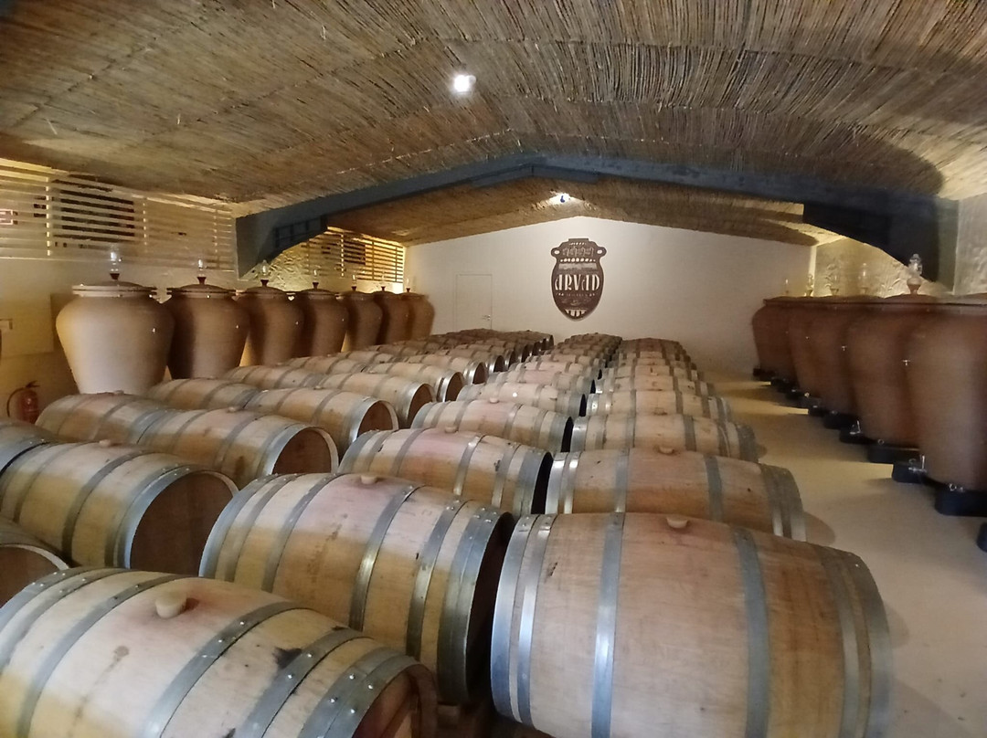 Arvad-Estombar必去景点