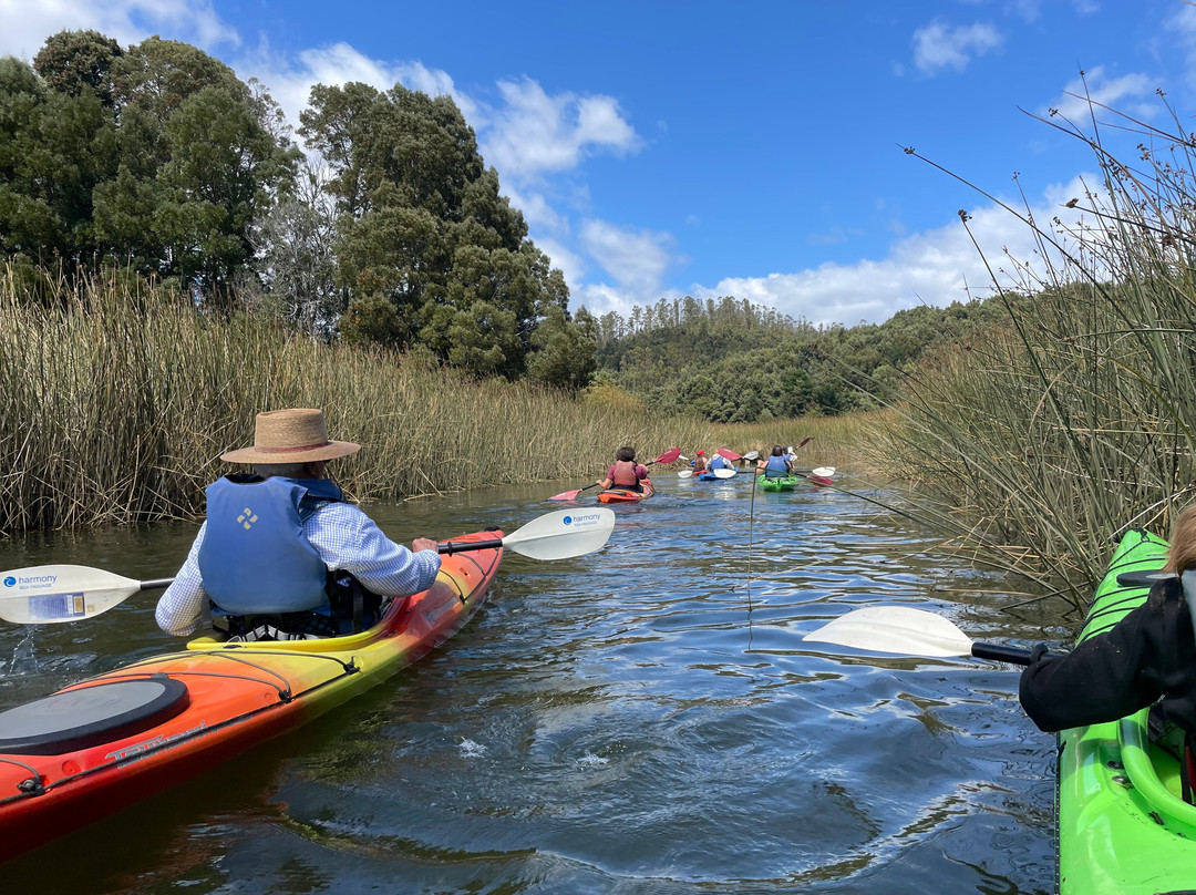 Rio Vivo-瓦尔迪维亚必去景点