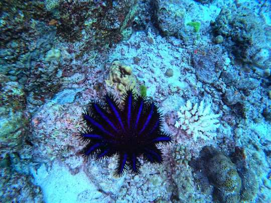 Go2Similan-库克卡克海滩必去景点