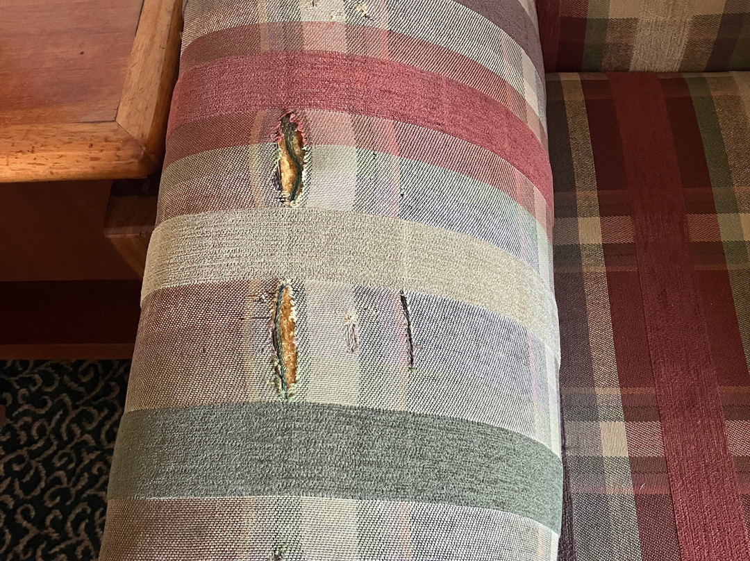 Conmfort Inn Grafton主图