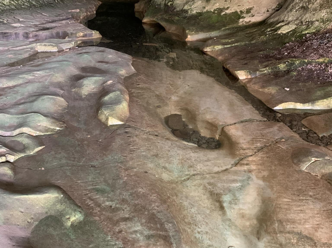 Cave Stream Scenic Reserve-Castle Hill必去景点