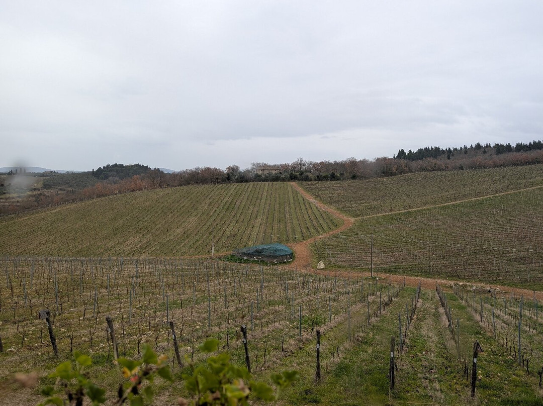 Tuscany Tours by Golden Travel景点图片