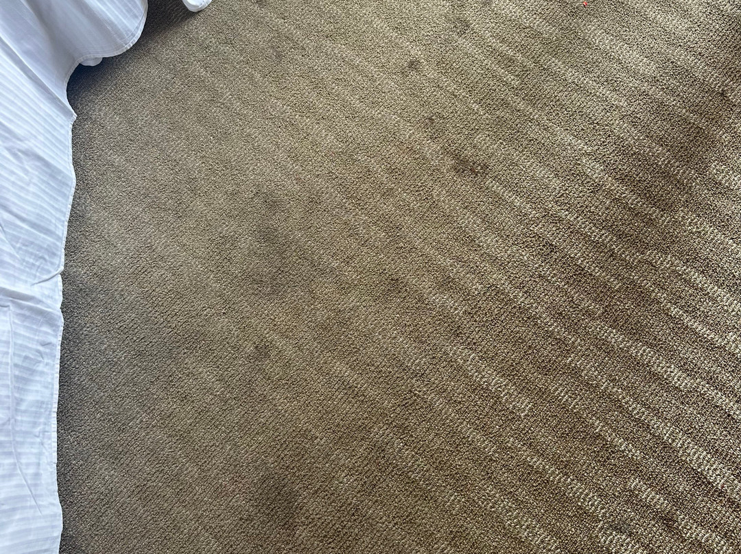 Enjoy Antofagasta主图