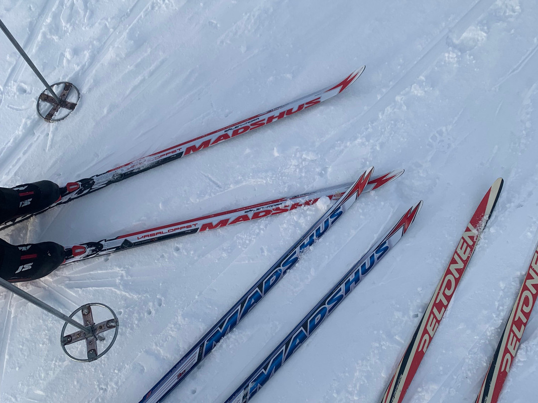 老爷爷极光团-基律纳必去景点