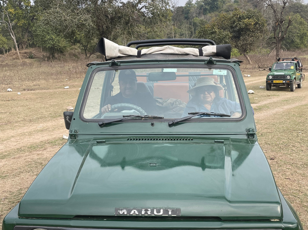 Rajaji National Park/Tiger Reserve Safari景点图片