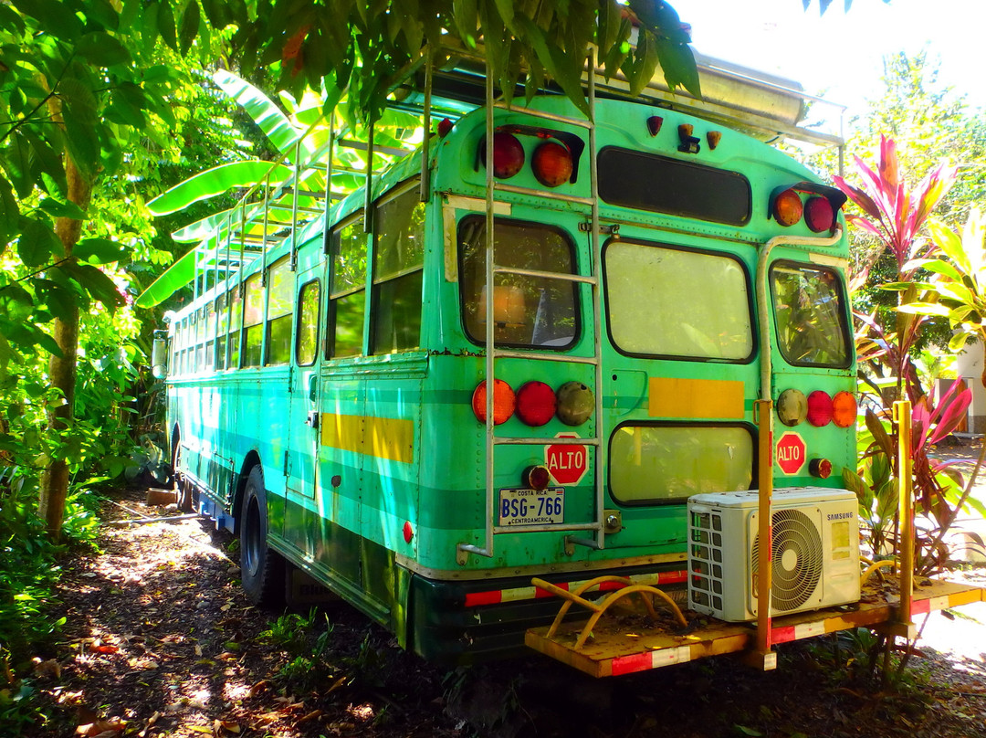 Tribe Boutique Hotel主图