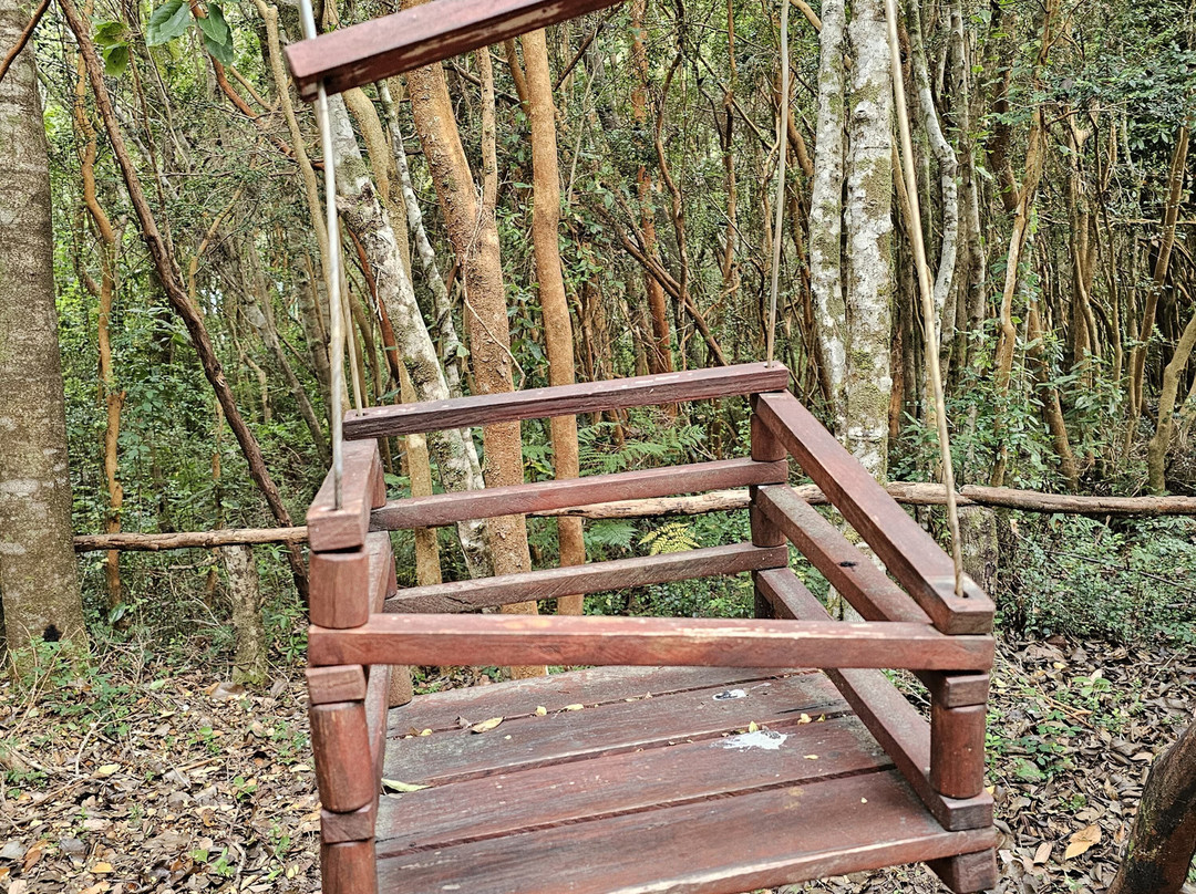 Cabanas Ensenada Bosque Nativo主图