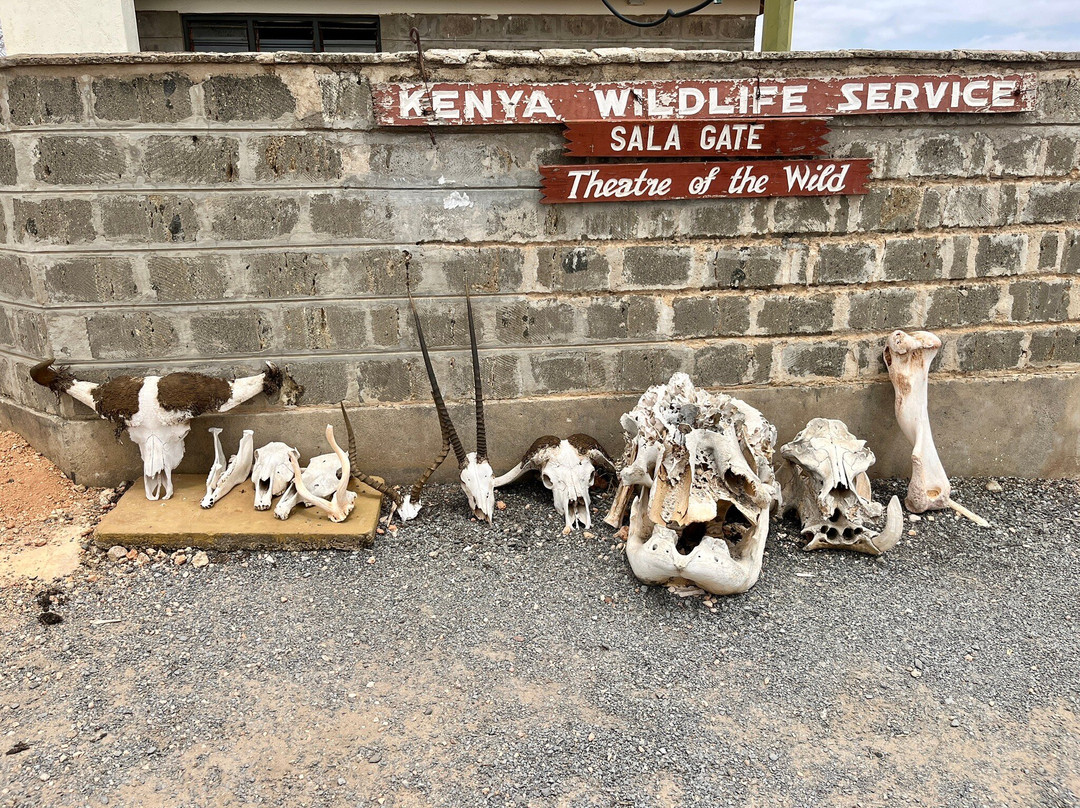 Escursioni con GrandeCane-瓦塔木必去景点