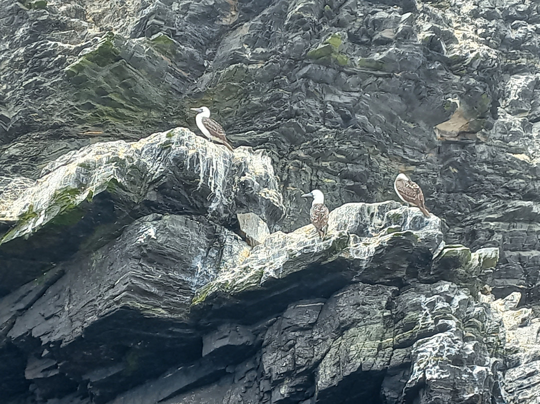 La Serena Turismo Chile-拉塞雷纳必去景点