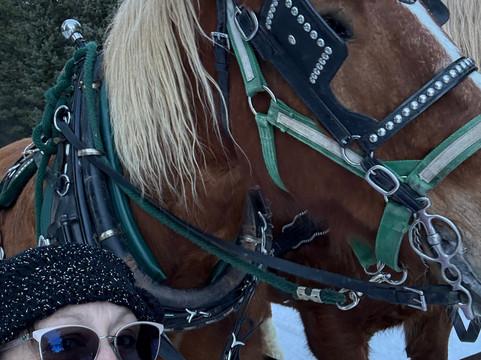 Golden Horseshoe Tour-布雷肯里奇必去景点