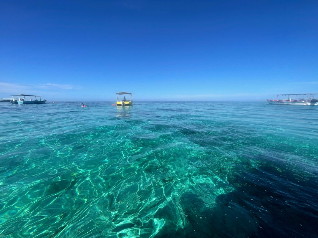 斯坦利深海钓鱼-内格里尔必去景点