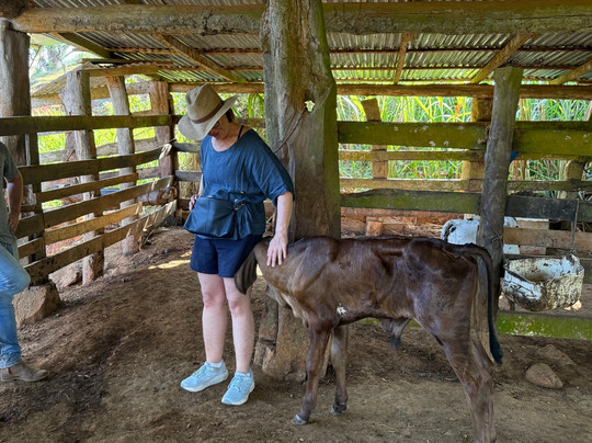 Manakin Tours-圣特雷莎必去景点