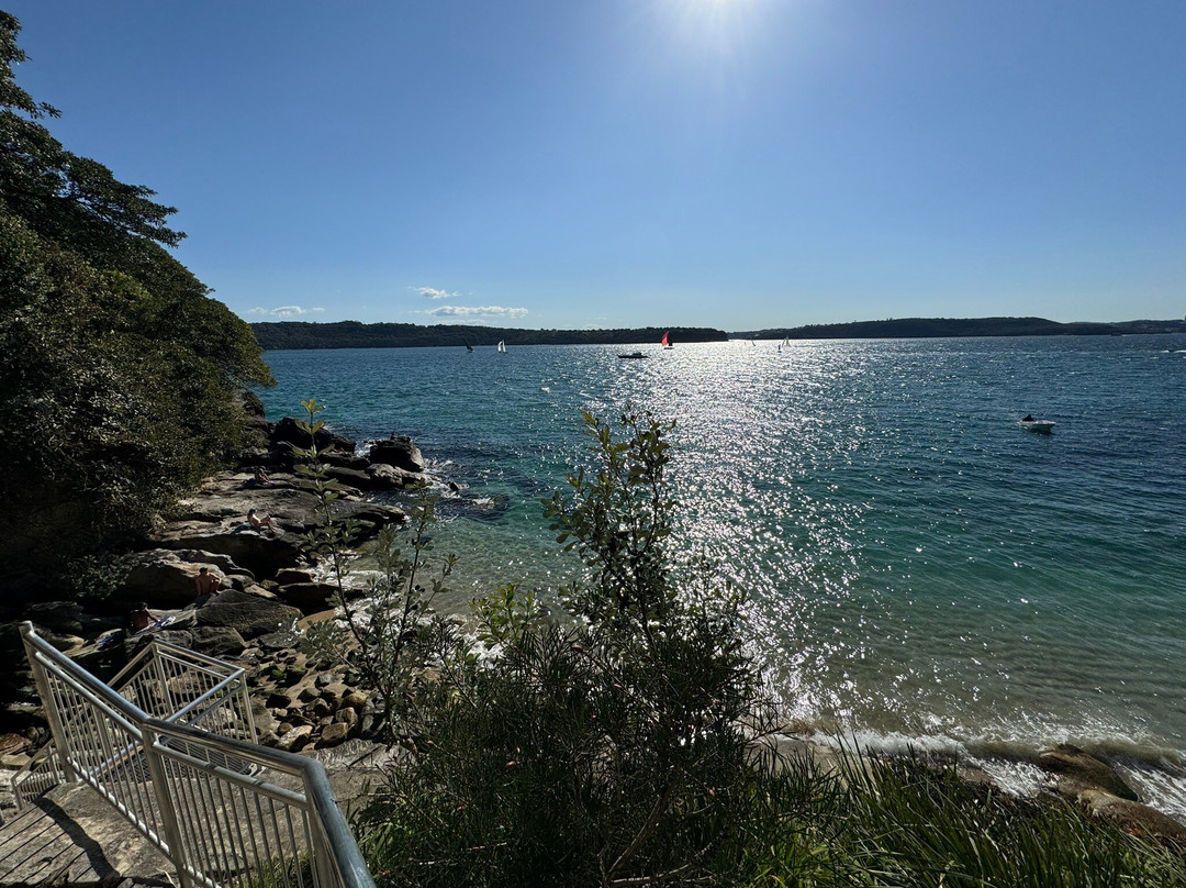 淑女湾-悉尼必去景点