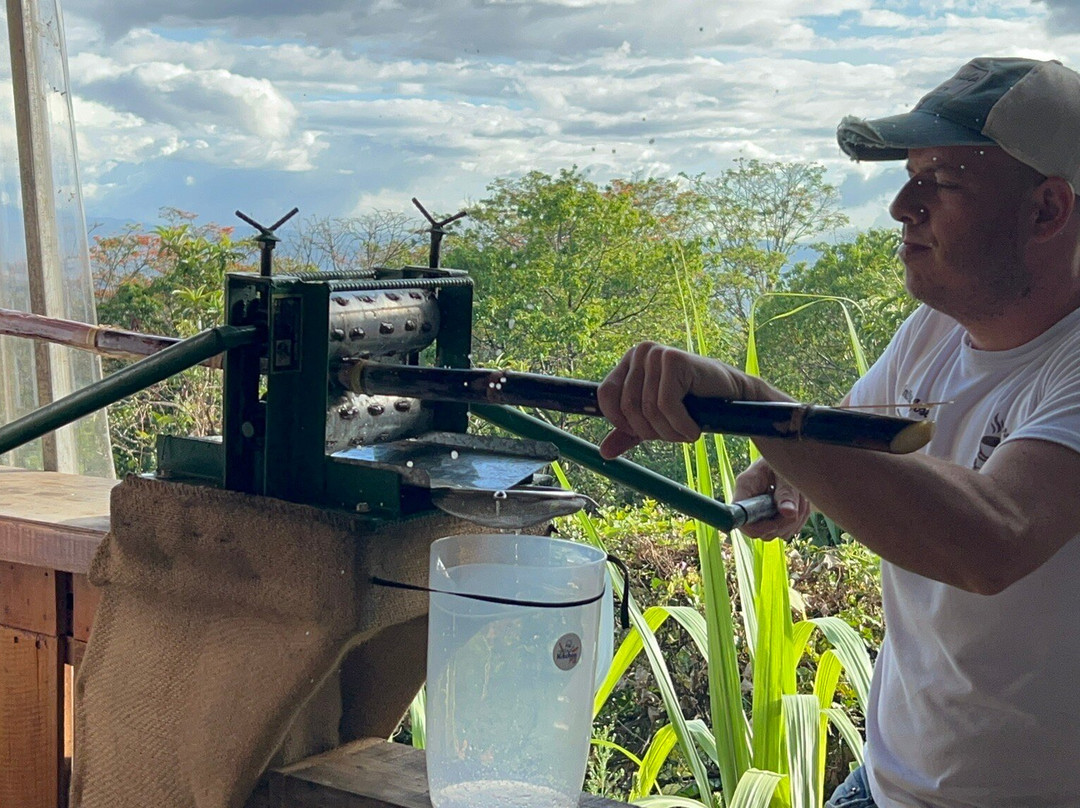 TIO JOSE COFFEE TOUR景点图片