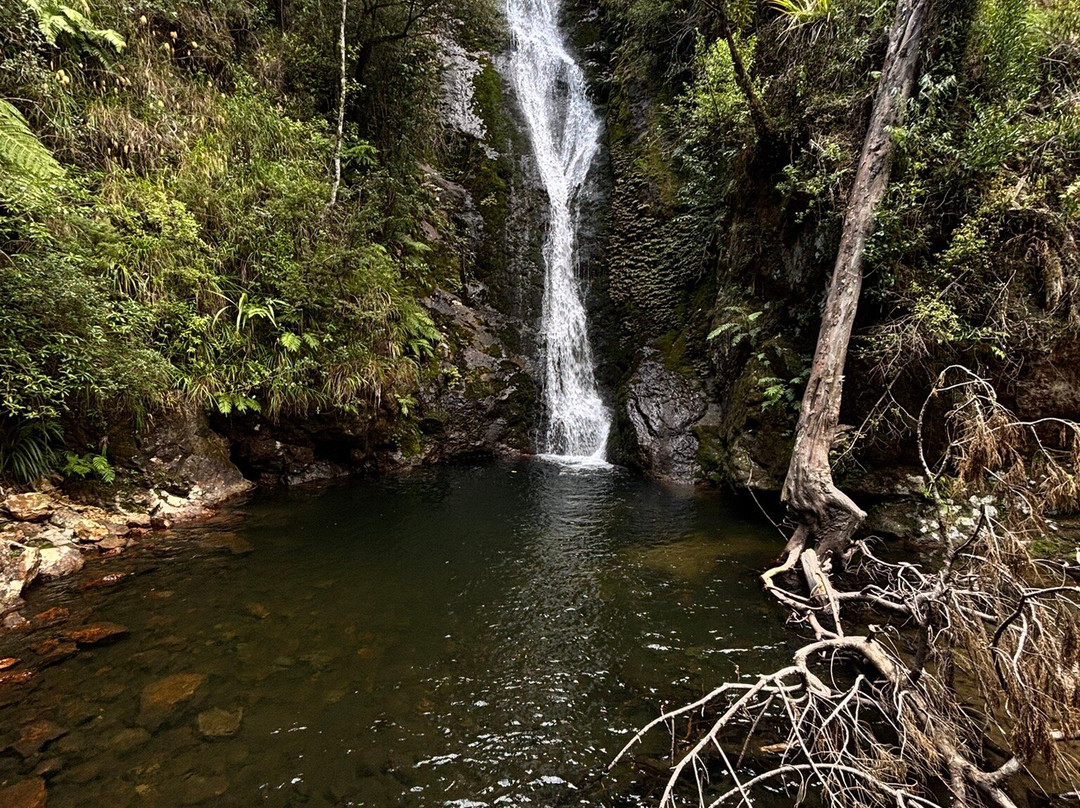 Wentworth Valley景点图片
