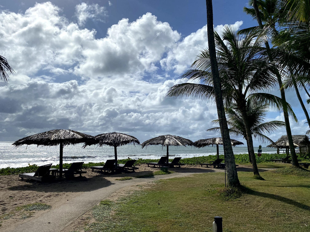 Xales de Maracaipe Pousada主图