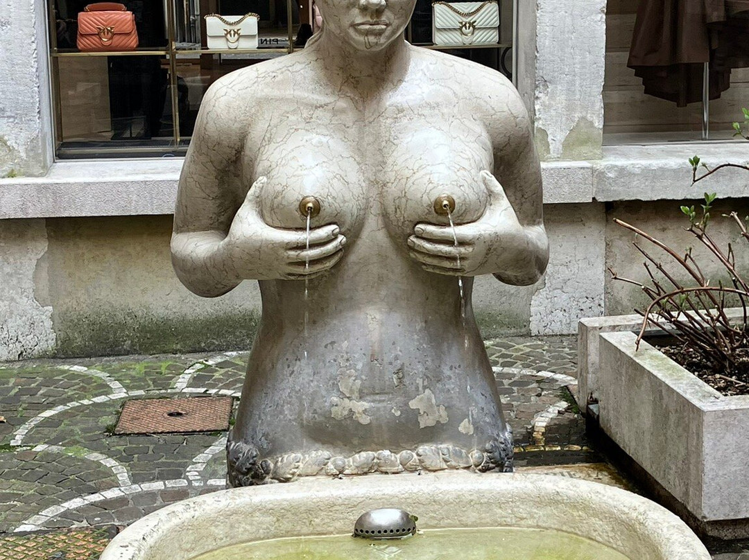 Fontana delle Tette-特雷维索必去景点